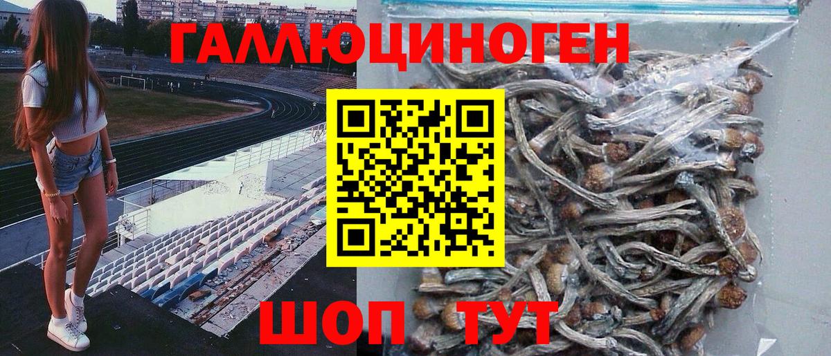 Псилоцибиновые грибы мицелий  как найти наркотики  Ржев  Вход с VPN 